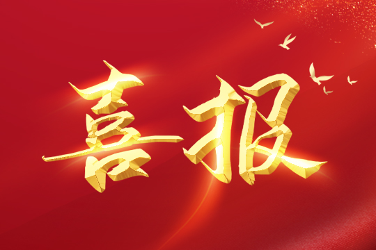 喜报 | kaiyun开云荣登2024粤港澳大湾区企业创新力榜单